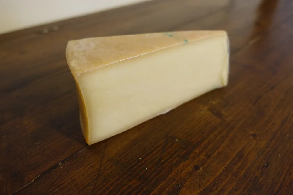 Fontina DOP